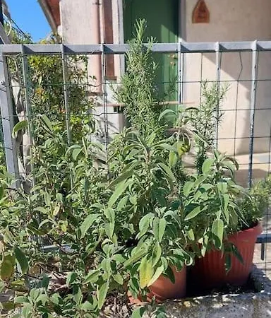 La Casetta Del Masini בית נופש *