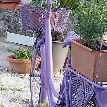 La Casetta Del Masini בית נופש *