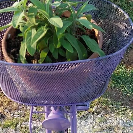 La Casetta Del Masini בית נופש קמאיורה