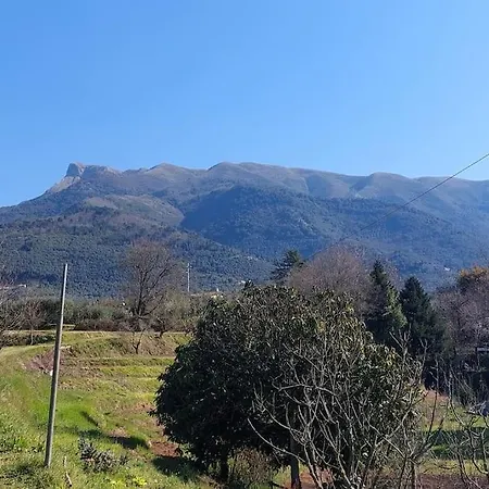 בית נופש La Casetta Del Masini